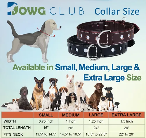 Vista 5 de Collar de Perro de Cuero Genuino Grano Completo, Resistente Cómodo, Acolchado, Fuerte Ideal para Cachorros, Razas Pequeñas, Medianas