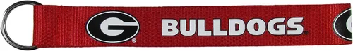Vista 20 de Siskiyou Sports NCAA unisex-adult Lanyard Key Chain