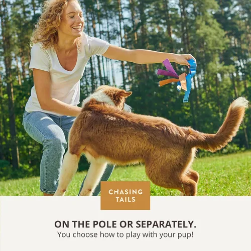 Vista 8 de Chasing Tails Poste de coqueteo para perros pequeños, 26 pulgadas con cuerda de 70 pulgadas y dos juguetes, equipo de juego interactivo para razas