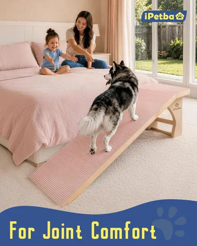 Vista 2 de Rampa para perros mejorada 2026 para cama con plataforma, apta para articulaciones, extra ancha y larga, antideslizante, resistente, hasta 200 libras