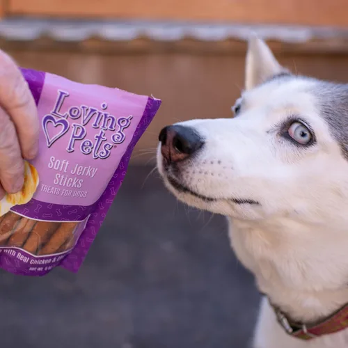 Vista 5 de Loving Pets - Golosinas para perros masticables suaves (forma de palo, receta de pollo y queso) hechas en EE.UU