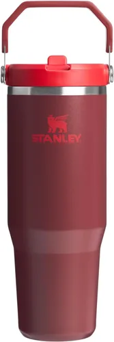 Vista 121 de STANLEY IceFlow 2.0 - Vaso con pajilla abatible con asa, 30 onzas, tapa giratoria y popote abatible, botella de agua a prueba de fugas, acero Tiza
