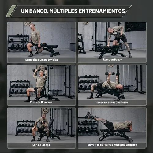 Vista 7 de MAJOR FITNESS Banco de pesas, banco de entrenamiento ajustable para entrenamiento de fuerza, prensa de banco y entrenamientos de cuerpo completo