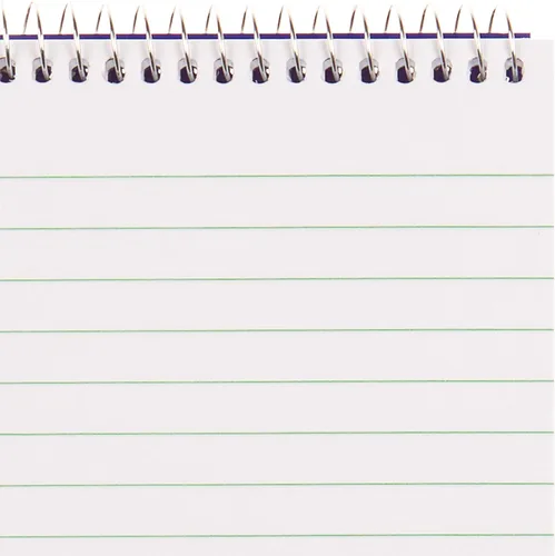 Vista 4 de Blueline Cuaderno Reporter / Bloc de notas, 4 x 8 pulgadas, 160 páginas / 80 hojas (AT8B)