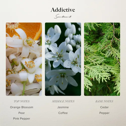 Vista 3 de Scentiment - Addictive Eau De Parfum - Fragancia inspirada en el diseñador para mujer – 1.69 fl oz (1.7 fl oz)