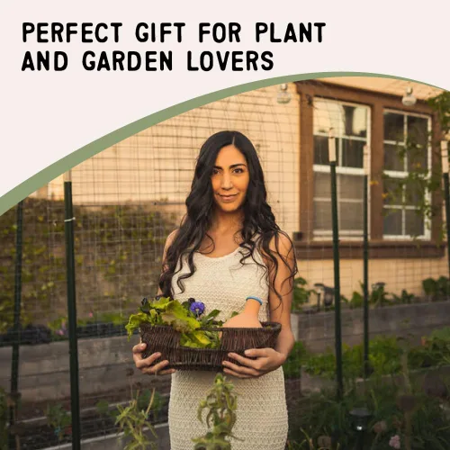 Vista 7 de Growoya Jardín OYA Tarro de Riego Mediano Sistema de Riego para Plantas de Jardín Sostenible Tradicional Olla de Riego Inteligente Riego Subterráneo