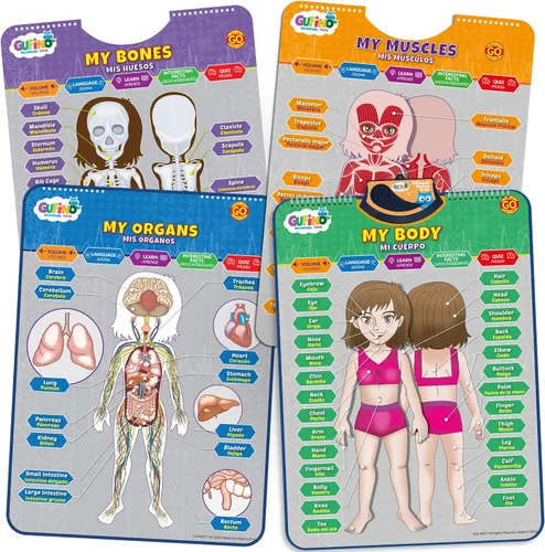 Vista 11 de Gufino Tabla de pared del alfabeto - Juguetes bilingües con botones táctiles interactivos para aprendizaje independiente y guiado - Ideal
