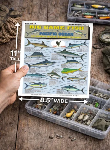 Vista 4 de Saltwater Fish Identification Chart #1 - Waterproof Quick Reference Fishing Guide - Species ID + Fishing Methods
