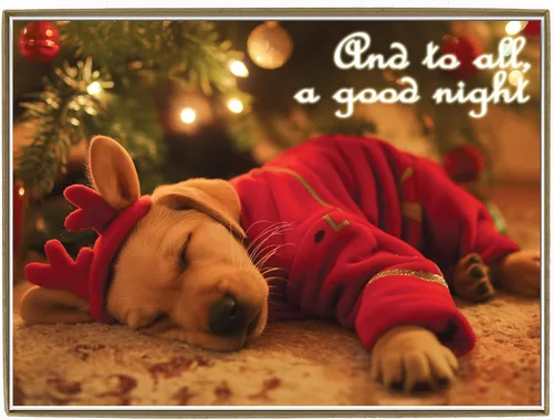 Vista 32 de Glory To Dog And To All A Good Night Sleepy Beagle Puppy - Juego de 12 tarjetas y sobres de Navidad