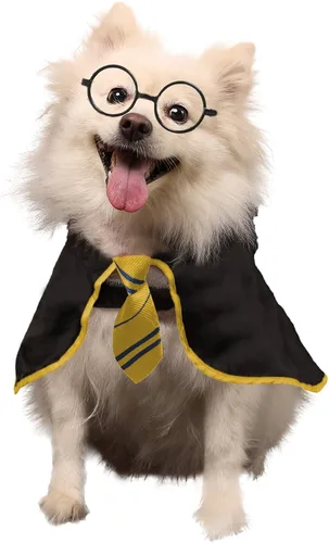 Vista 8 de Disfraz Coomour de bruja, para perro, gato, cachorro, ropa para perros pequeños, medianos, grandes, camisa con gafas