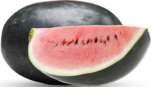 Vista 75 de 50 Hale's Best Cantaloupe Seeds for Planting - Sweet Aromatic Heirloom, Non-GMO, USA Grown by RDR Seeds