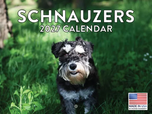 Vista 122 de Calendario mensual de pared Airedale Terrier Dog 2027