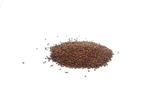 Vista 3 de Grano entero orgánico rojo de quinua real sin OMG sin gluten a granel (1 libra)