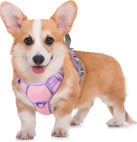 Vista 73 de BARKBAY Arnés para Perro Sin Tirones Talla Grande Arnés Reflectante para Perro con Clip Frontal y Asa de Control Fácil para Caminar Entrenar Correr