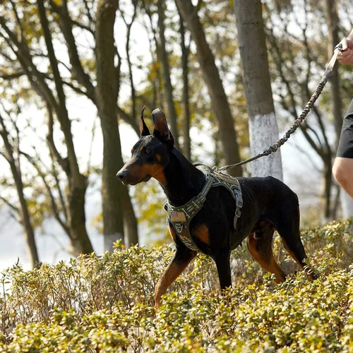 Vista 4 de BUMBIN Arnés para perros medianos sin tirones, arnés táctico para perro, con asa, arnés de chaleco ajustable para perro, correa elástica de 6 pies