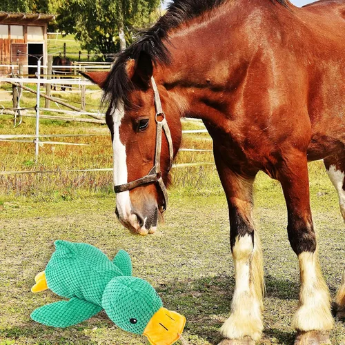 Vista 3 de Horse Toys Squeaky Squeeze Plush Duck, juguete interactivo de pato chirriante para caballos para jugar, juguetes de enriquecimiento de felpa