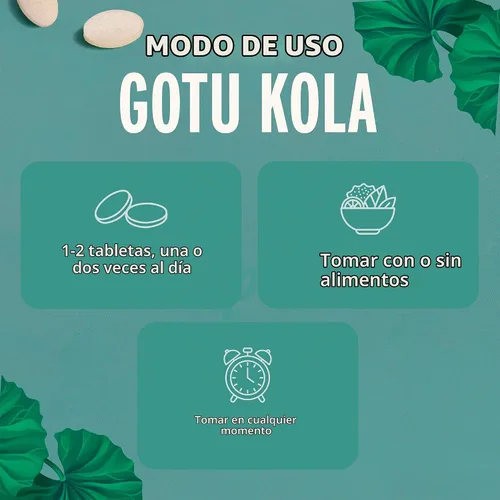 Vista 3 de Banyan Botanicals Brahmi/Gotu Kola Tablets - USDA Organic - 90 tabletas - Centella asiática - Apoya la concentración, el estado de alerta y un