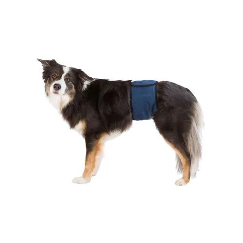 Vista 2 de Protector para Incontinencia Trixie Macho Abdomen