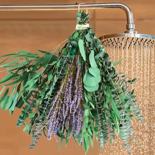 Vista 11 de 10 tallos de eucalipto secos para ducha de 17 pulgadas, tallos de eucalipto colgantes naturales reales, ramas de hojas frescas reales para relleno