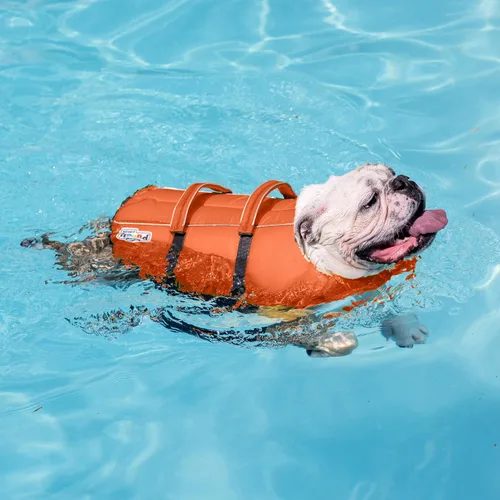 Vista 6 de Outward Hound - Chaqueta salvavidas para perros Max Buoyancy, Adjustable Fit, Head/Neck Support, Rescue Handle, Reflective, Swimming & Boating