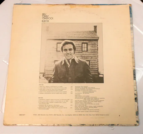 Vista 5 de Rub It In Vinyl LP