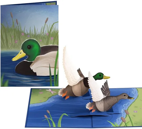 Vista 11 de Lovepop Tarjeta Desplegable Diaria para Ella y Él - Tarjetas de Felicitación 3D Pensando en Ti para Niños, Niñas, Hombres, Mujeres - 5" x 7" Cardenal