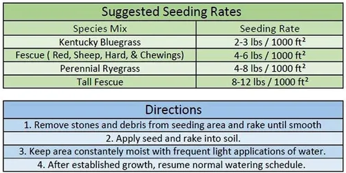 Vista 2 de Jacklin Seed de Barenbrug - Heisman Mix 85% Kentucky Bluegrass, 15% Ryegrass perenne Semilla de césped certificada (5 libras