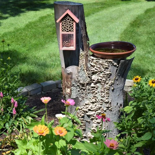 Vista 2 de Nature's Way Bird Products PWH2-B Casa de insectos de doble cámara roja Rojo