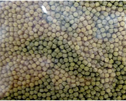 Vista 2 de Hikari Cíclidos de hundimiento Excel - Mini pellets - 2.2 lb