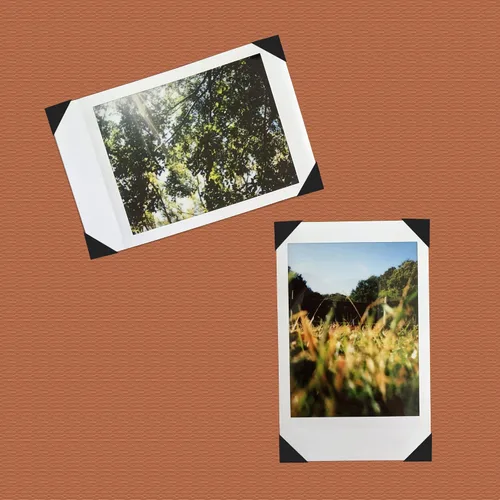 Vista 5 de PATIKIL Adhesivo de esquina para fotos, 20 hojas/2040 unidades, etiqueta autoadhesiva de PVC para montaje de fotos, diario, álbum, diario, álbum