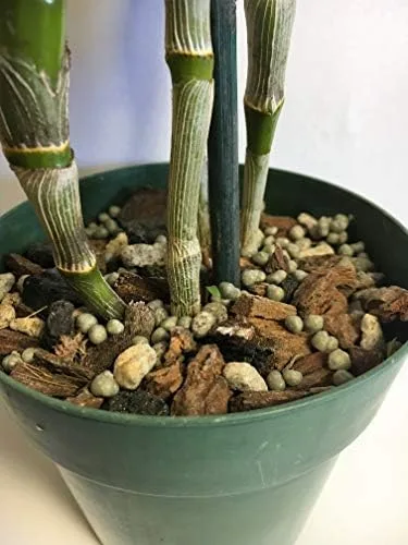 Vista 4 de Tierra para macetas con perlita, turba, musgo, coco, carbón y corteza de orquídea para Cattleya Dendrobium Oncidium Mezcla para macetas de corteza