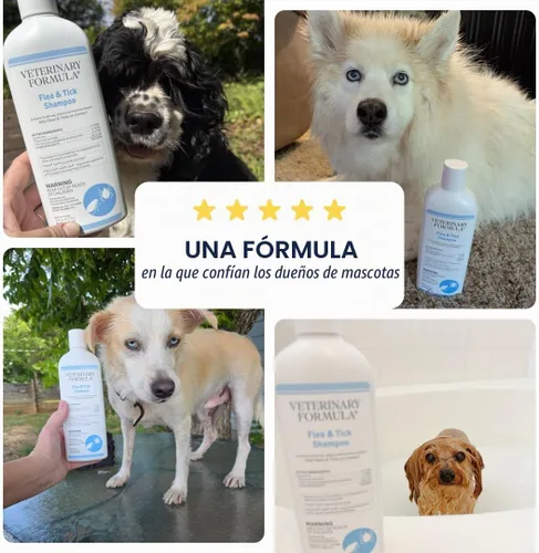 Vista 6 de Veterinary Formula Champú para pulgas y garrapatas para perros y gatos, 16
