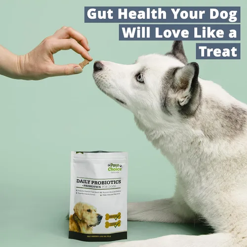 Vista 4 de Paw Choice Probióticos para perros con prebióticos – Masticables diarios para la salud intestinal, la digestión, la regularidad y el apoyo