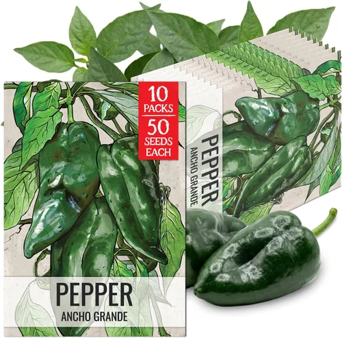 Vista 44 de Seed Needs - Semillas de pimiento arcoíris para plantar verduras, 1 paquete