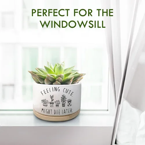 Vista 7 de Maceta Divertida para Plantas Suculentas, Maceta Pequeña para Plantas de Interior, Lindas Macetas de Cerámica para Cactus con Drenaje, Decoración