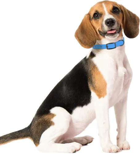 Vista 6 de MiMu Collar pequeño de silicona para perro, collar de perro elegante azul de 18 pulgadas con hebilla de punta y bucle de correa con anillo en D