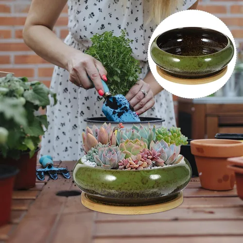 Vista 9 de GANAZONO Macetas suculentas para suculentas con drenaje de cerámica para bonsái con bandejas de bambú, macetas redondas poco profundas para plantas