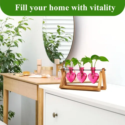 Vista 5 de XXXFLOWER Estaciones de propagación de terrarios de plantas, regalos únicos para mujeres, esposa, mamá, amantes de las plantas, 3 jarrones