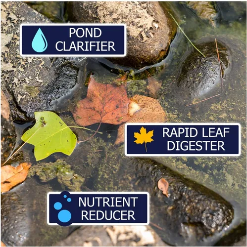 Vista 4 de WinterKleen - Bacterias de otoño e invierno para estanques Koi Pond Winterizer, digestor de hojas, limpiador natural - Potentes enzimas