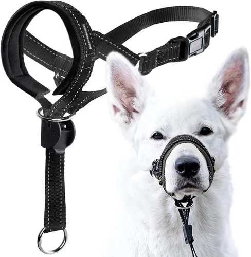 Vista 14 de GoodBoy Cabestro de cabeza de perro con correa de seguridad – Detiene los tirones pesados de la correa – Collar acolchado para perros pequeños