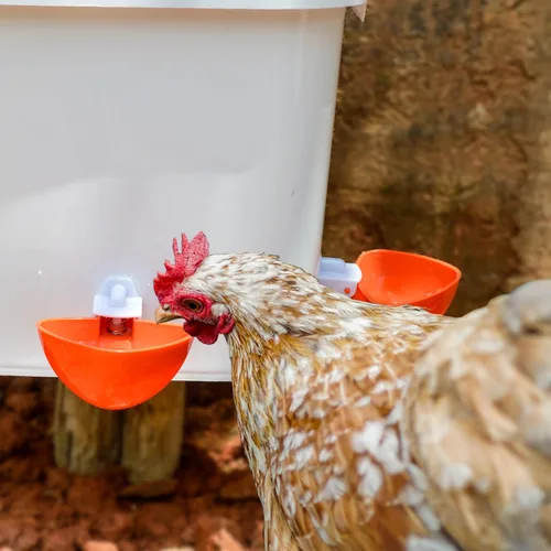 Vista 7 de Alimentador de pollo automático grande y Waterer Set Colgando Pollo Alimentador de agua de aves de corral Cubo de alimentación
