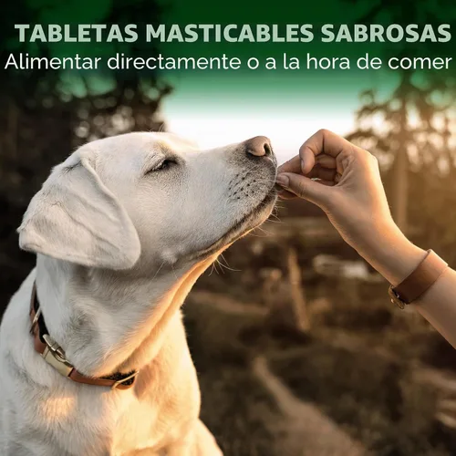 Vista 4 de Vet del mejor Alivio de la alergia de temporada perro Suplementos, 60 tabletas masticables, EE. UU. Made Seasonal Allergy Relief Tablets, Helps