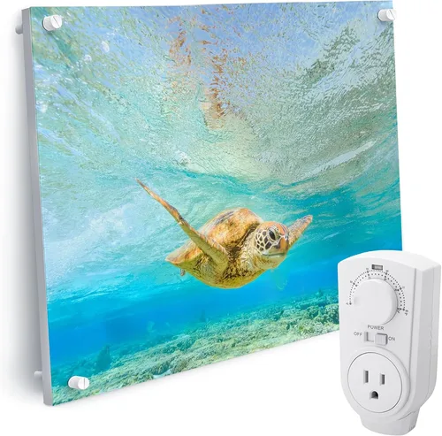 Vista 8 de EconoHome Panel de calentador de espacio para montaje en pared, con termostato, calentador de convección de 400 vatios, ideal para habitaciones