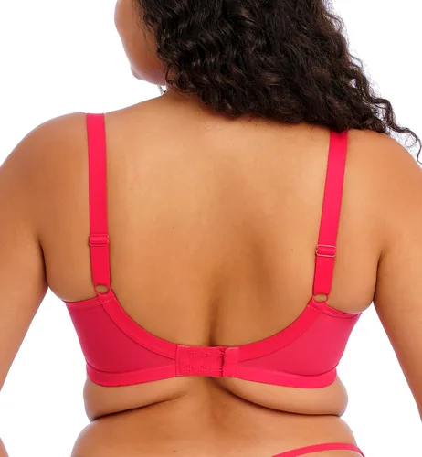 Vista 2 de Elomi Women's Plus Size Plunge