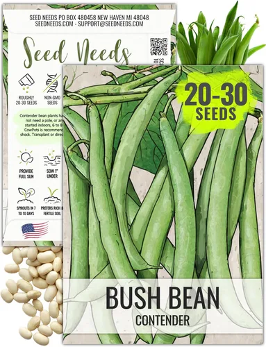 Vista 10 de Seed Needs Semillas de Frijol Lima para Plantar Frijoles Henderson Lima - Semillas de Vegetales Heirloom Sin OMG y Sin Tratar para Plantar un Jardín