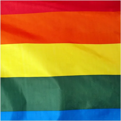 Vista 2 de Bandera gay arcoíris para exteriores, bandera del orgullo gay de 3 x 5 pies
