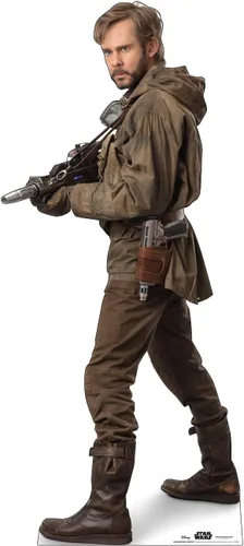 Vista 17 de Cardboard People BOOLIO - Soporte de cartón de tamaño real - Star Wars: Episodio IX - El ascenso de Skywalker (película de 2019)