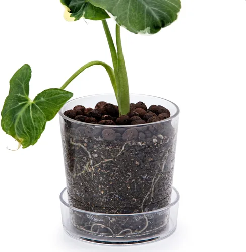 Vista 16 de Maceta Phoenix Vine de 3.5 pulgadas de acrílico transparente con bandeja, maceta para orquídeas con agujeros de drenaje, platillo profundo