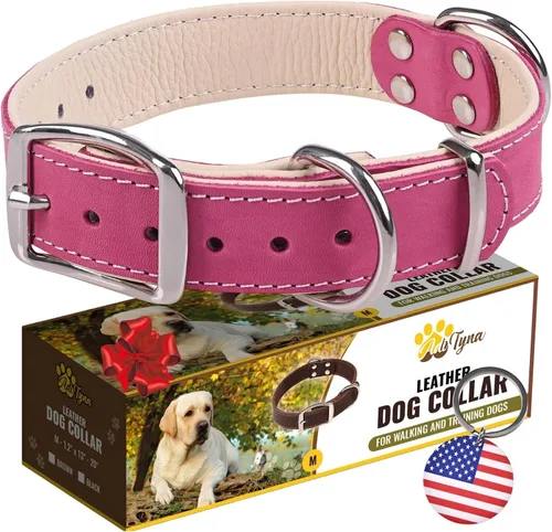 Vista 21 de ADITYNA Collar de perro de cuero negro resistente para perros pequeños, acolchado suave para mayor comodidad, collar de perro pequeño para caminar