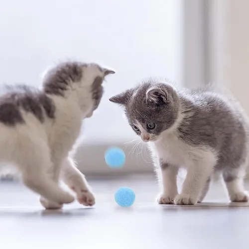 Vista 7 de Molain Pelotas grandes de juguete para gatos, bolas suaves para gatos de 1 pulgada (30 piezas)